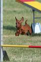 RoryAgility (3)